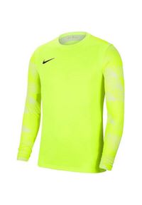 Bluza bramkarska męska Nike Dry Park IV JSY LS GK. Kolor: zielony #1