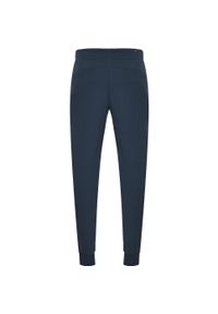 Spodnie Puma Ess 2 Col Logo Pants Tr Cl, Mężczyźni. Kolor: niebieski. Materiał: bawełna, materiał