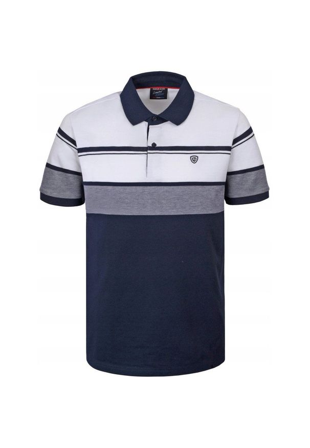 Koszulka Polo - Męska - Pako Jeans - Odcienie Granatów, Pasy. Okazja: na co dzień. Typ kołnierza: polo. Materiał: bawełna. Wzór: paski, prążki. Styl: casual