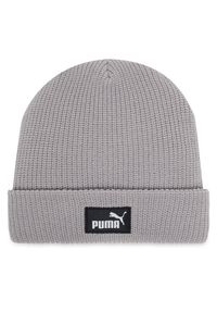 Czapka Puma. Kolor: szary