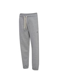Spodnie dziecięce Hummel Bee. Kolor: szary #1