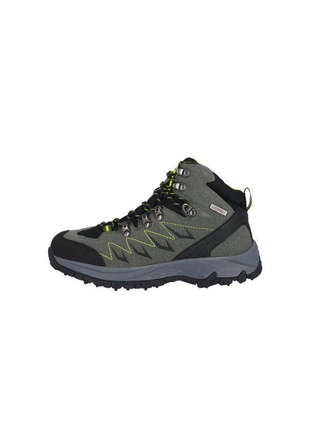 Buty trekkingowe Whistler Contai. Kolor: szary, zielony, wielokolorowy. Sport: turystyka piesza