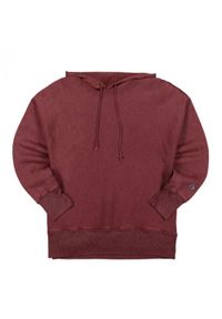 Champion - Bluza trekking męska. Kolor: brązowy. Materiał: poliester, bawełna. Sport: turystyka piesza