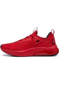 Adidasy Puma Cell Thrill, Mężczyźni. Kolor: czerwony. Materiał: materiał. Sport: fitness
