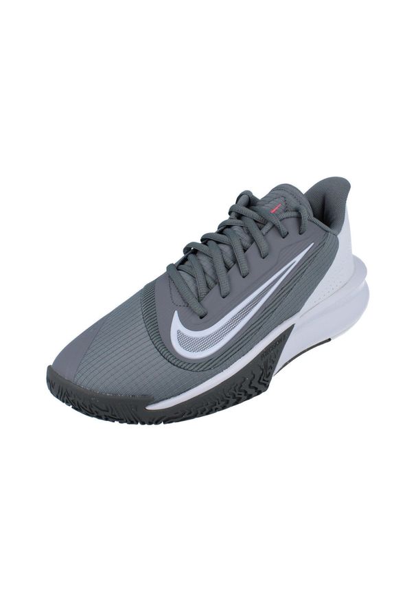 Buty koszykarskie męskie Nike Precision Vii. Zapięcie: sznurówki. Kolor: szary. Materiał: guma, syntetyk, tkanina, materiał. Szerokość cholewki: normalna. Sport: bieganie