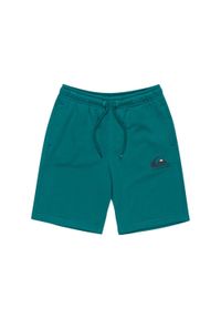 Quiksilver - Spodenki z elastyczną talią EASY DAY. Kolor: zielony. Materiał: materiał, poliester, bawełna. Długość: krótkie. Sezon: lato