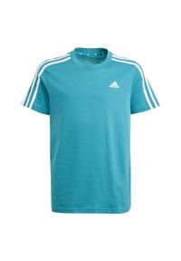 Adidas - Essentials 3-Stripes Cotton Tee. Kolor: biały, niebieski, wielokolorowy