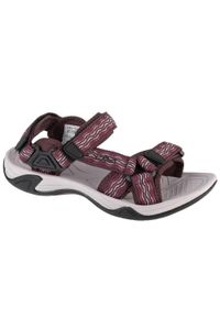 CMP - Sandały damskie, Hamal Wmn Hiking Sandal. Kolor: czerwony, brązowy, wielokolorowy, czarny. Sport: turystyka piesza