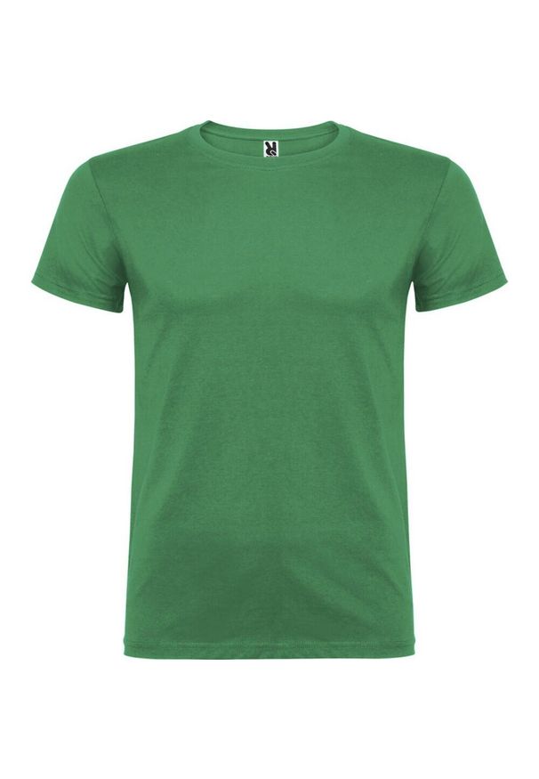 ROLY - Męska Koszulka Z Krótkim Rękawem Beagle. Kolor: zielony. Długość rękawa: krótki rękaw. Długość: krótkie. Sport: turystyka piesza