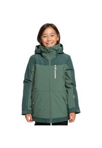 Kurtka narciarska dla dzieci Roxy Presence membrana 15K/10K. Kolor: zielony. Materiał: poliester. Sezon: zima. Sport: narciarstwo #1