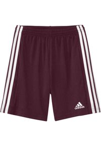 Adidas - Spodenki piłkarskie dla dzieci adidas Squadra 21 Short. Kolor: brązowy, wielokolorowy, czerwony, biały