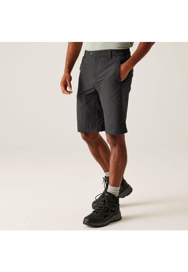 Regatta - Spodenki męskie Highton długie. Kolor: szary, wielokolorowy, fioletowy. Materiał: materiał. Długość: długie. Sport: turystyka piesza