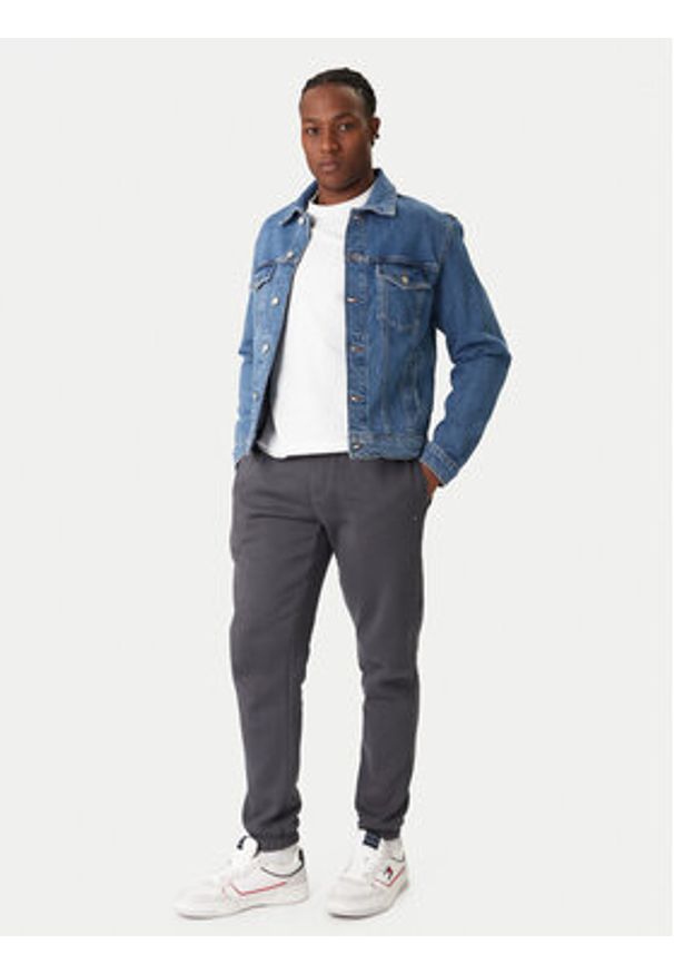 Tommy Jeans Spodnie dresowe DM0DM20473 Szary Regular Fit. Kolor: szary. Materiał: bawełna
