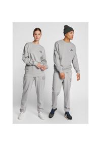 Bluza Hummel Legacy Loyalty. Kolor: szary