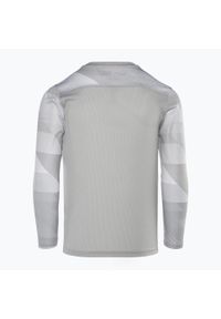 Koszulka bramkarska dziecięca Nike Dri-FIT Park IV Goalkeeper. Kolor: szary. Technologia: Dri-Fit (Nike)