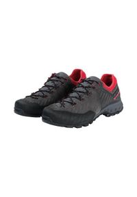 Buty trekkingowe męskie Mammut Alnasca Ii Low Gtx. Kolor: wielokolorowy. Materiał: syntetyk, materiał. Szerokość cholewki: normalna