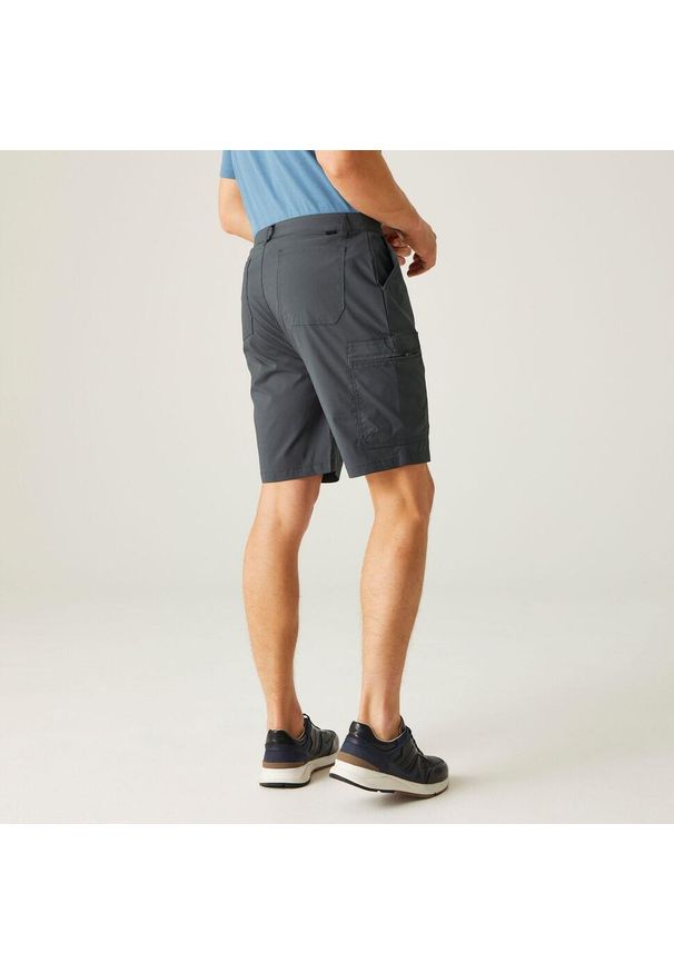 Regatta - Męskie szorty Dalry. Kolor: szary. Materiał: materiał. Sport: turystyka piesza