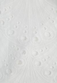 Renee - Biała Bawełniana Sukienka o Haftowanym Wykończeniu z Materiałowym Paskiem w Talii Dimla. Typ kołnierza: dekolt w kształcie V. Kolor: biały. Materiał: materiał, bawełna. Długość rękawa: krótki rękaw. Wzór: haft #4