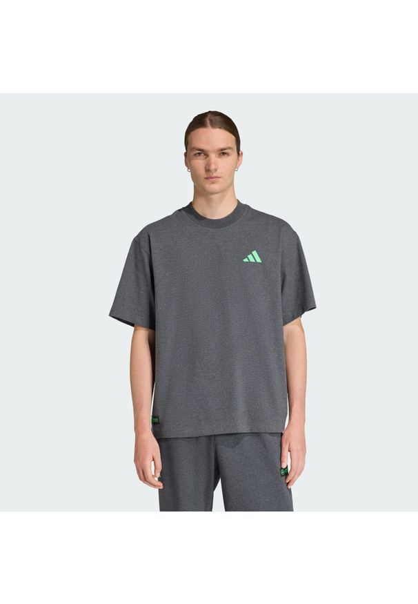 Adidas - Koszulka Mercedes - AMG Petronas Formula One Team Premium Sweat. Kolor: szary. Sport: fitness
