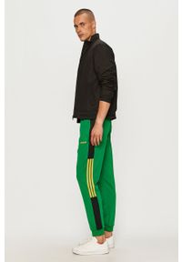 adidas Originals - Spodnie. Kolor: zielony. Materiał: bawełna, poliester, dzianina. Wzór: aplikacja #2