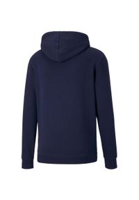 Bluza treningowa męska Puma teamGOAL 23 Causals Hoody. Kolor: niebieski. Materiał: bawełna, poliester