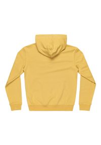 DC Shoes - Bluza z kapturem dla Chłopcy PALLET PH Żółty. Typ kołnierza: kaptur. Kolor: żółty. Materiał: tkanina, poliester, bawełna. Sport: skateboard