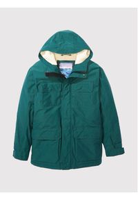 American Eagle Parka 010-0108-1354 Zielony Regular Fit. Kolor: zielony. Materiał: syntetyk