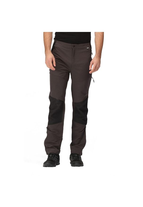 Regatta - Męskie spodnie trekkingowe ze streczem Questra V. Kolor: szary. Sezon: lato. Sport: turystyka piesza