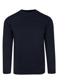 Klasyczny Sweter Męski - Rigon - Bawełna - Ciemny Granat. Kolor: niebieski. Materiał: bawełna. Wzór: nadruk. Styl: klasyczny #1
