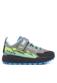 Sneakersy Primigi. Kolor: szary. Technologia: Gore-Tex