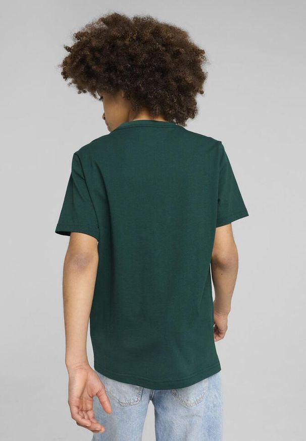 Puma - Młodzieżowa koszulka Mid 90s z grafiką PUMA Dark Myrtle Green. Kolor: zielony. Materiał: guma. Wzór: napisy, nadruk. Sezon: lato. Sport: joga i pilates