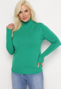 Born2be - Zielony Sweter z Golfem Erimessa. Typ kołnierza: golf. Kolor: zielony. Materiał: tkanina, dzianina, wiskoza. Długość rękawa: długi rękaw. Długość: długie. Styl: klasyczny #3