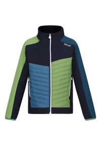 Regatta - Kurtka Dziecięca Brynden Padded Full Zip Soft Shell Jacket. Kolor: zielony, niebieski, wielokolorowy