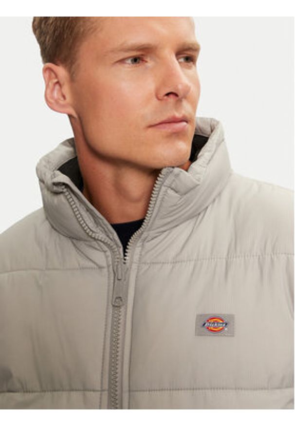 Dickies Kurtka przejściowa Waldenburg DK0A4XP2D06 Szary Regular Fit. Kolor: szary. Materiał: syntetyk