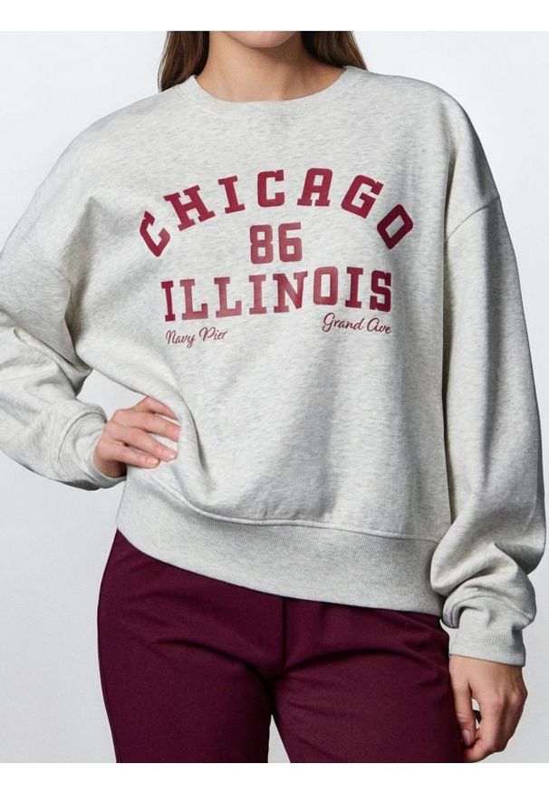 Sinsay - Bluza crewneck - Inny