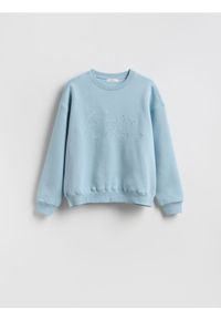 Reserved - Bluza z haftem - jasnozielony. Kolor: zielony. Materiał: dzianina, bawełna. Wzór: haft #1