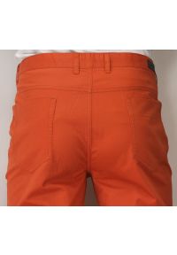 Ezreal - Spodnie Męskie, Chinosy - 100% BAWEŁNA, Zwężane nogawki, Kolorowe, Rude. Kolor: brązowy. Materiał: bawełna. Wzór: kolorowy #2