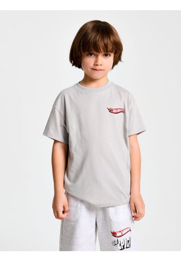 Sinsay - Koszulka Hot Wheels - szary. Kolor: szary
