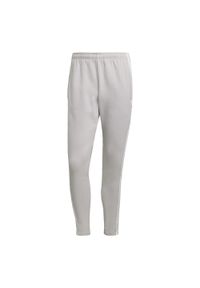 Spodnie do piłki nożnej męskie Adidas Squadra 21 Sweat Pants. Kolor: szary. Materiał: dresówka. Sport: fitness #1