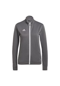 Adidas - Entrada 22 Track Jacket. Kolor: szary. Materiał: materiał. Sport: piłka nożna