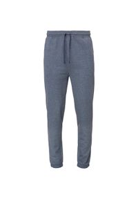 ZOOPLEMENTS - Spodnie dresowe męskie LOAP Ecrad ciemnoniebieskie XL. Kolor: niebieski. Materiał: dresówka #1