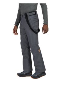 Spodnie narciarskie Rossignol Ski Pant szare. Kolor: szary. Sport: narciarstwo