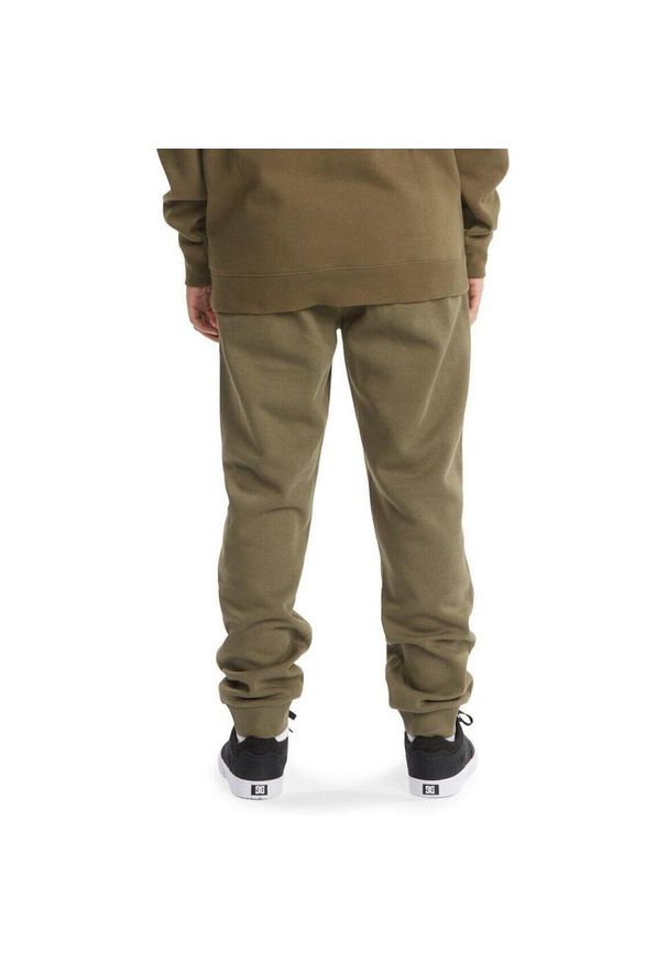Spodnie DC Shoes Riot, Mężczyźni. Kolor: zielony. Materiał: bawełna, materiał