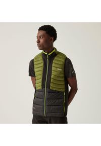 Regatta - Leedre Hybrid Męski kamizelka na wędrówki. Kolor: zielony. Sport: turystyka piesza #1