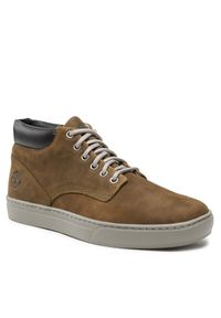 Sneakersy Timberland. Kolor: zielony