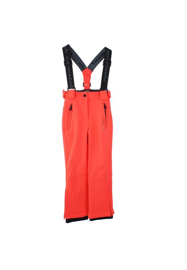 PEAK MOUNTAIN - Spodnie narciarskie dziewczęce Peak Mountain Gashell. Kolor: pomarańczowy. Sezon: zima. Sport: narciarstwo