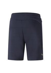 Puma - Shorty Męskie Logo. Kolor: niebieski. Sport: turystyka piesza