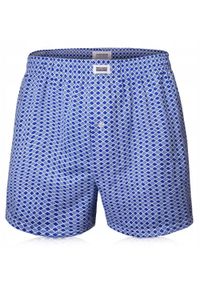Męskie Bokserki Luźne, Majtki z Rozporkiem na Guzik - Pako Jeans - Niebieskie. Kolor: niebieski. Materiał: bawełna, poliester #1