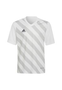 Adidas - Koszulka piłkarska dla dzieci adidas Entrada 22 Graphic Jersey. Kolor: biały, wielokolorowy, szary. Materiał: jersey. Sport: piłka nożna #1