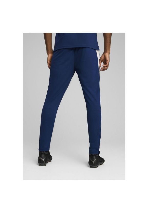 Puma - Męskie spodnie treningowe Portugalia PUMA Persian Blue Sugared Almond Beige. Kolor: wielokolorowy, beżowy, niebieski
